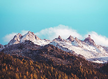 到最后才发现：雄鹿被逼到角落才反扑，罗德里戈那一下点燃全场