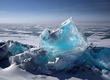 到最后才发现：雄鹿被逼到角落才反扑，罗德里戈那一下点燃全场